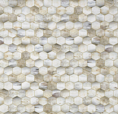 product image of sample beehive wallpaper by mr mrs vintage for nlxl monochrome collection 1 593