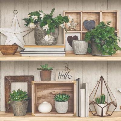 product image for Beige Succulent Shelves Wallpaper by Walls Republic 5