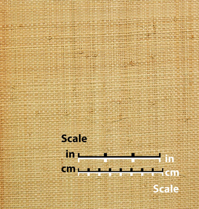 product image of Beige and Cream Grasscloth Natural Wallpaper by Burke Decor 578
