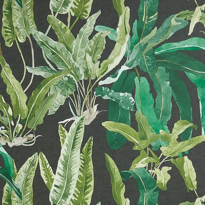 product image of sample benmore wallpaper in emerald and ebony from the ashdown collection by nina campbell for osborne little 1 573