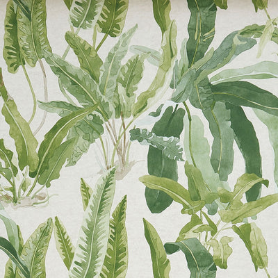 product image of sample benmore wallpaper in green and ivory from the ashdown collection by nina campbell for osborne little 1 588
