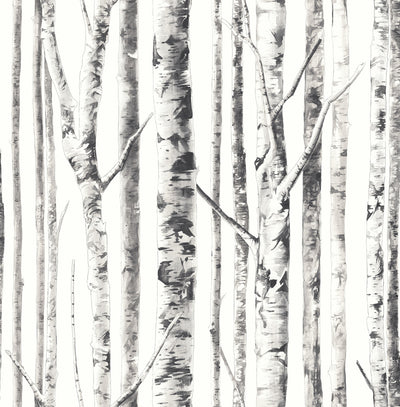 product image of sample birch wallpaper in ivory and grey from the solaris collection by mayflower wallpaper 1 544