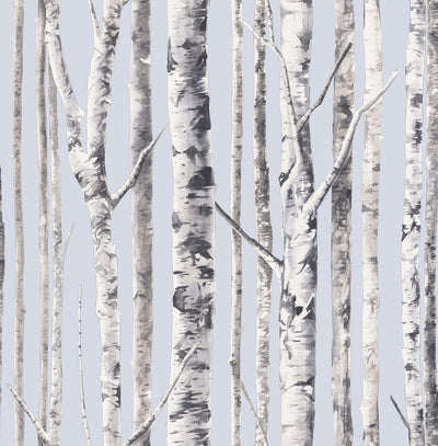 product image of Birch Wallpaper in Periwinkle and Grey from the Solaris Collection by Mayflower Wallpaper 571