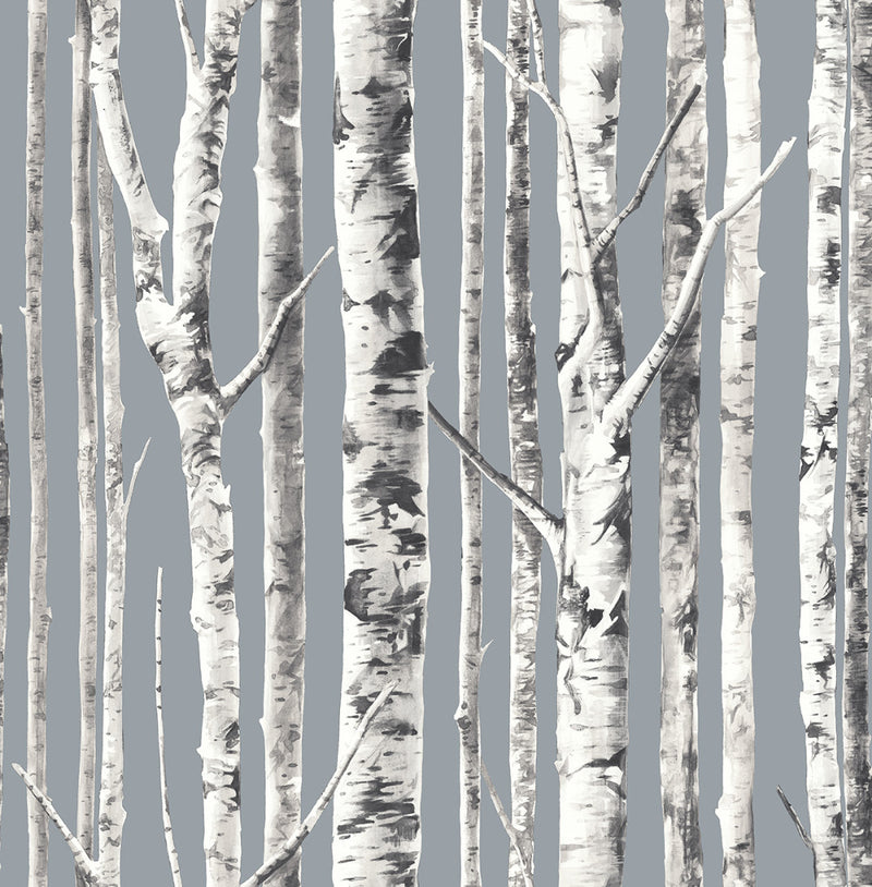Shop Sample Birch Wallpaper in Silver and Grey from the Solaris