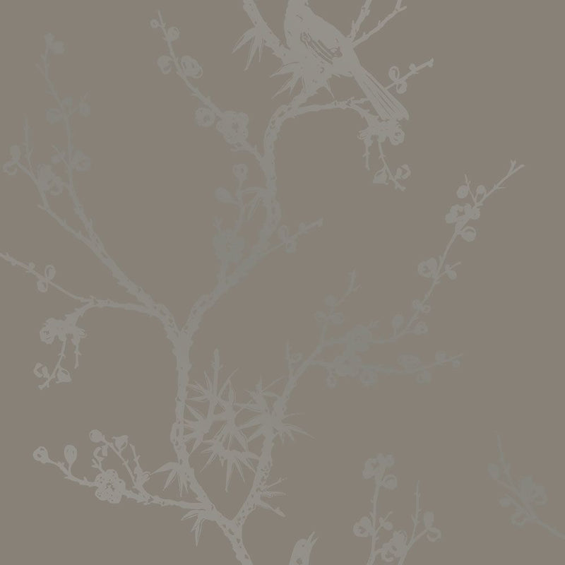 media image for sample bird watching dove grey peel and stick wallpaper by tempaper 1 25