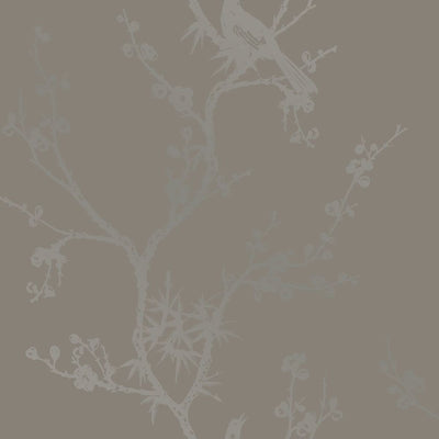 product image of Bird Watching Dove Grey Peel-and-Stick Wallpaper by Tempaper 573