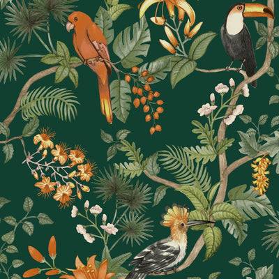 product image for Birds of Paradise Self-Adhesive Wallpaper in Rainforest Green by Tempaper 57