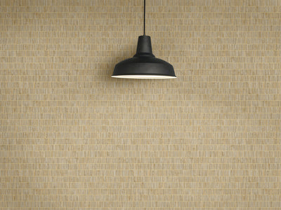 product image for Blue Grass Band Grasscloth Wallpaper in Ginseng from the More Textures Collection by Seabrook Wallcoverings 17