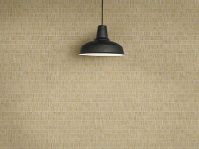 product image for Blue Grass Band Grasscloth Wallpaper in Ginseng from the More Textures Collection by Seabrook Wallcoverings 57