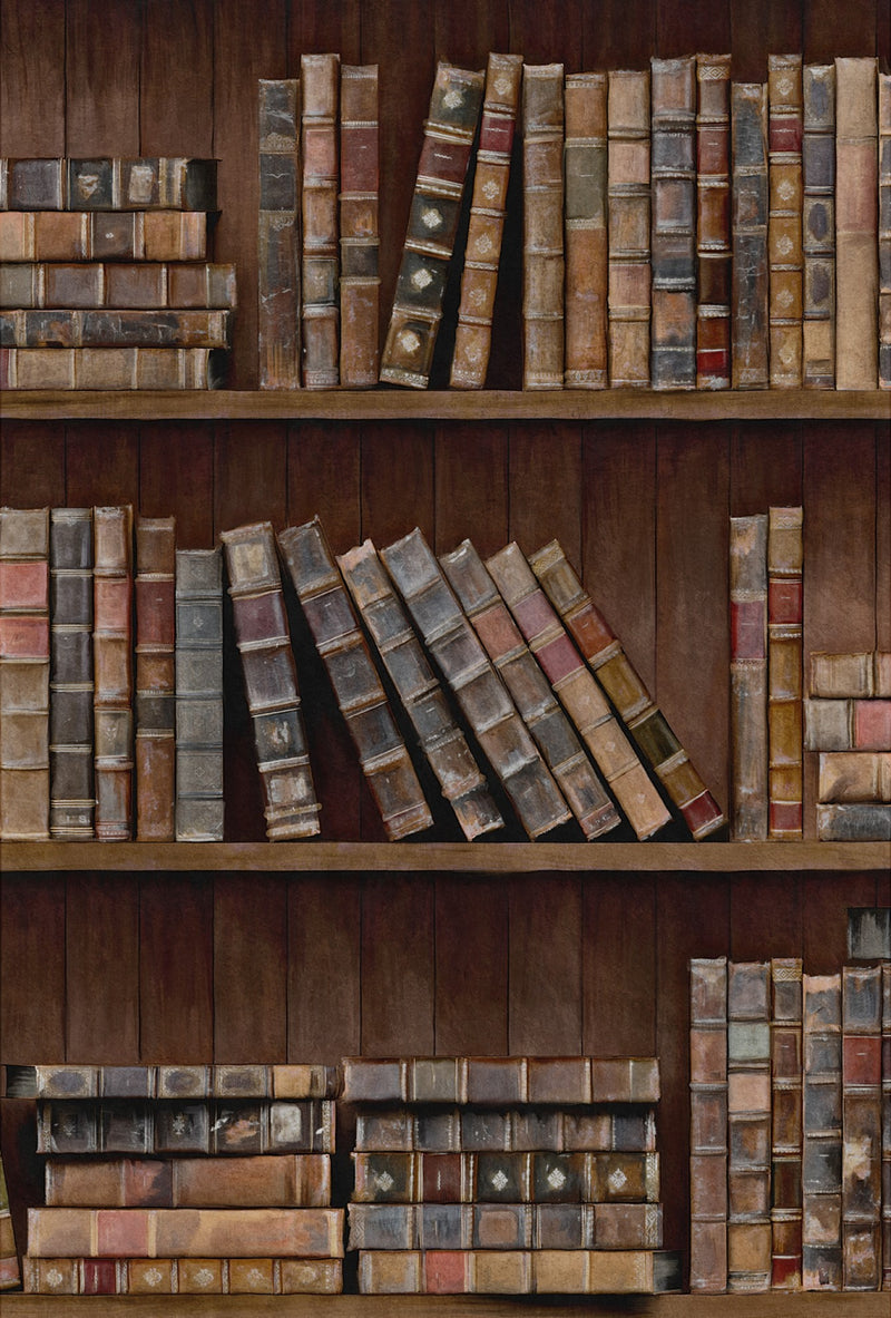 media image for Book Shelves Wallpaper in Brown and Multi from the Eclectic Collection by Mind the Gap 276