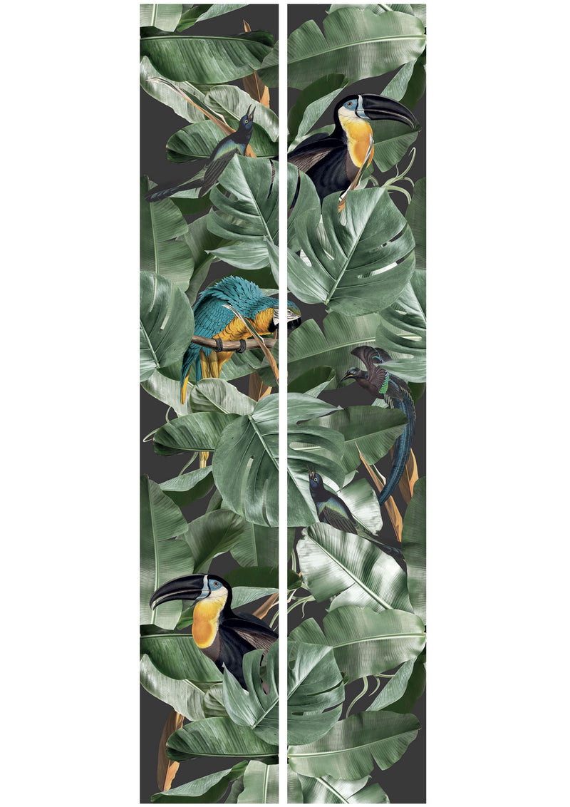 media image for Botanical Birds Wallpaper in Black by KEK Amsterdam 272
