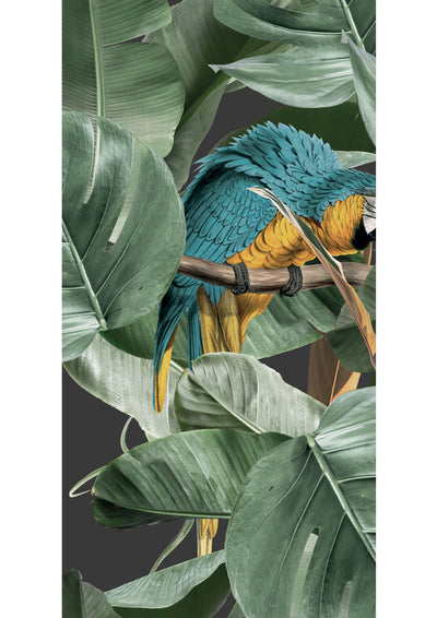product image for Botanical Birds Wallpaper in Black by KEK Amsterdam 54
