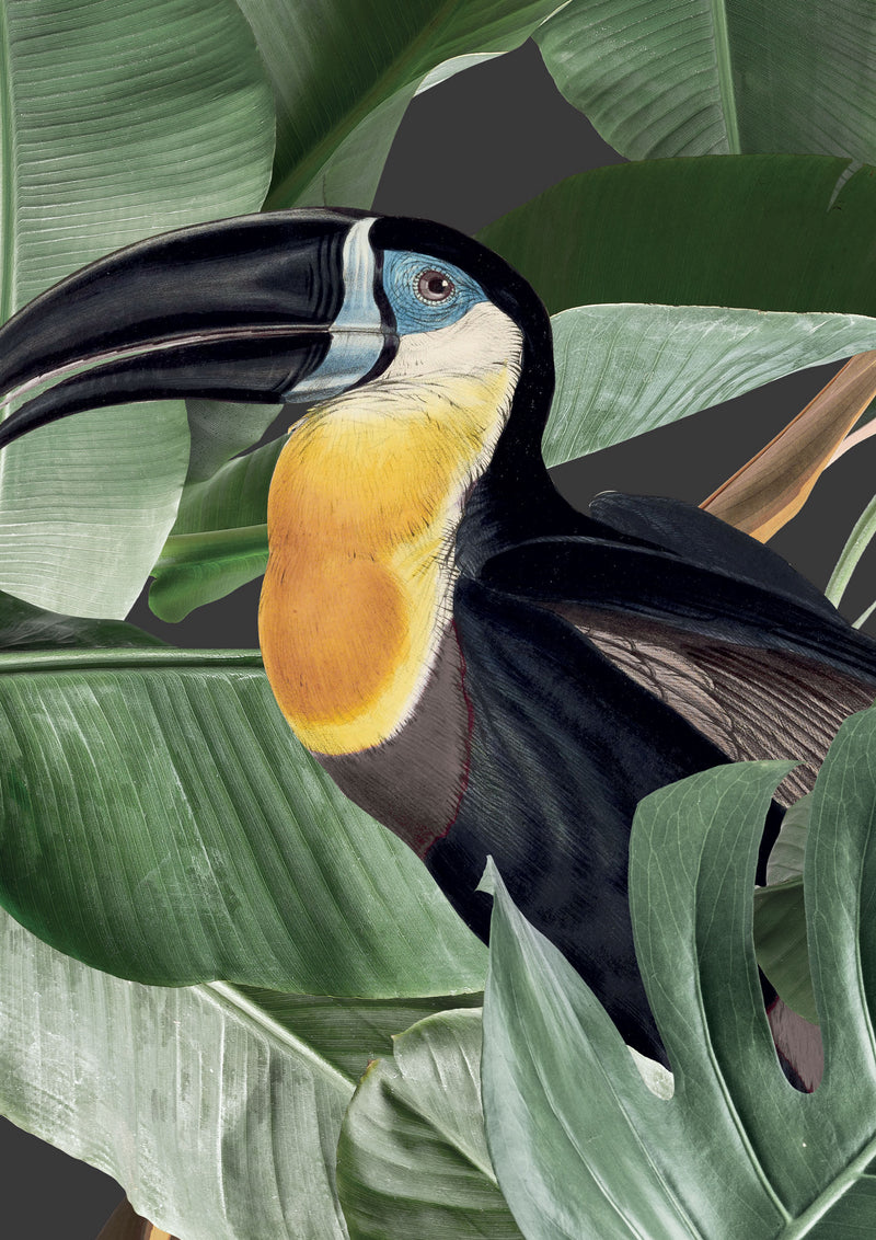 media image for Botanical Birds Wallpaper in Black by KEK Amsterdam 242