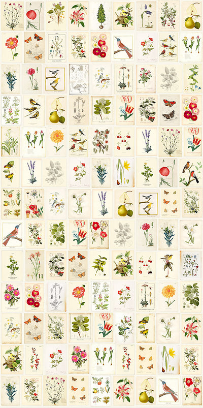 product image of Botanical Paper Wall Mural by Eijffinger for Brewster Home Fashions 559