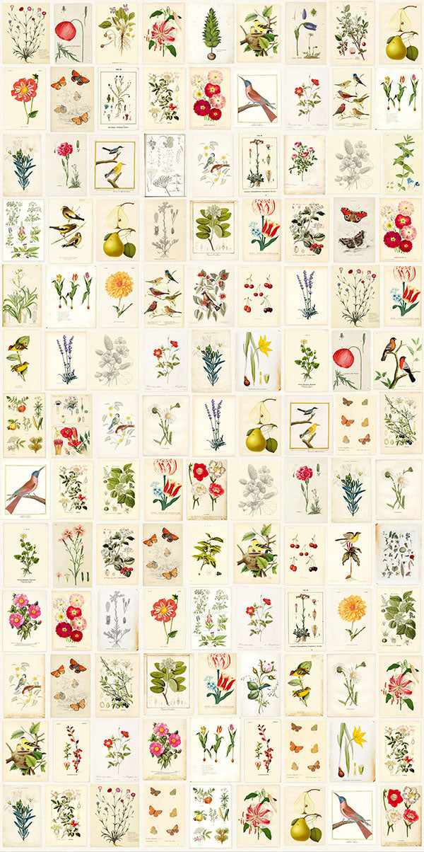 media image for Botanical Paper Wall Mural by Eijffinger for Brewster Home Fashions 262
