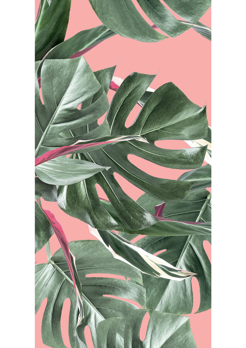 media image for Botanical Wallpaper Monstera Pink by KEK Amsterdam 248