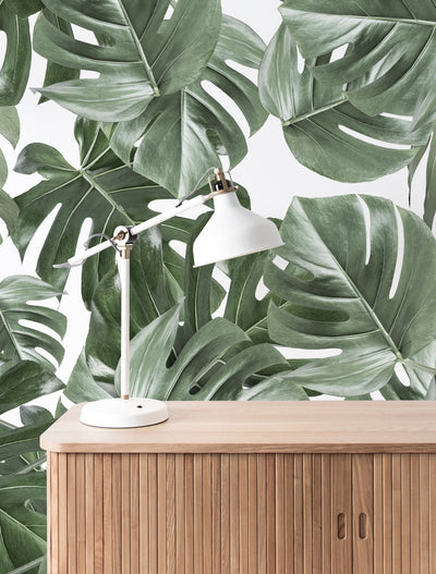 product image for Botanical Wallpaper Monstera White by KEK Amsterdam 3