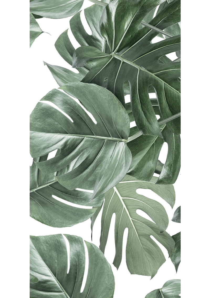 media image for Botanical Wallpaper Monstera White by KEK Amsterdam 294