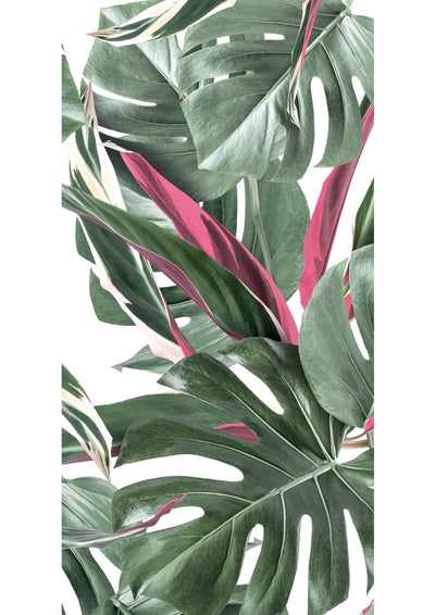 product image for Botanical Wallpaper Monstera White and Pink by KEK Amsterdam 97