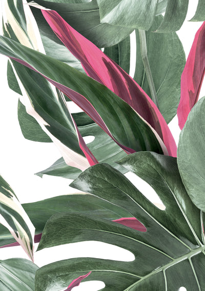 product image for Botanical Wallpaper Monstera White and Pink by KEK Amsterdam 68