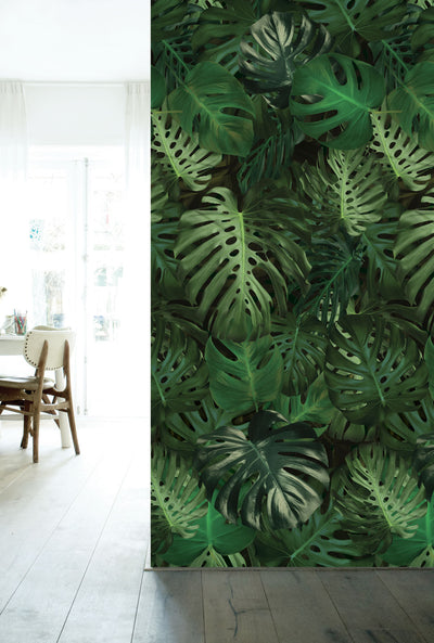 product image for Botanical Wallpaper Monstera by KEK Amsterdam 24