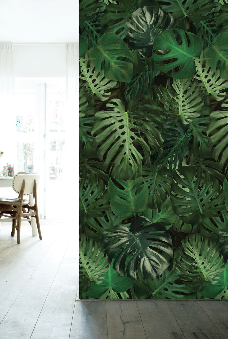 Shop Botanical Wallpaper Monstera by KEK Amsterdam | Burke Decor