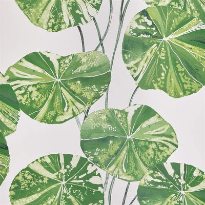 product image of sample brahmi wallpaper in leaf from the zardozi collection by designers guild 1 538
