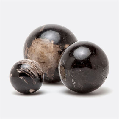 product image for Bram Petrified Wood Accents, Set of 3 68