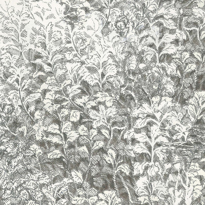 product image of Sample Brush Wallpaper in Ivory 551