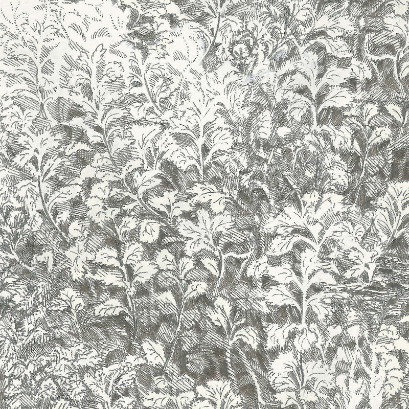 media image for Sample Brush Wallpaper in Ivory 248
