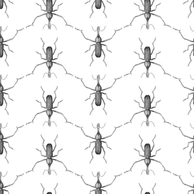 product image for Buggie Wallpaper in Men In Black by Abnormals Anonymous 93