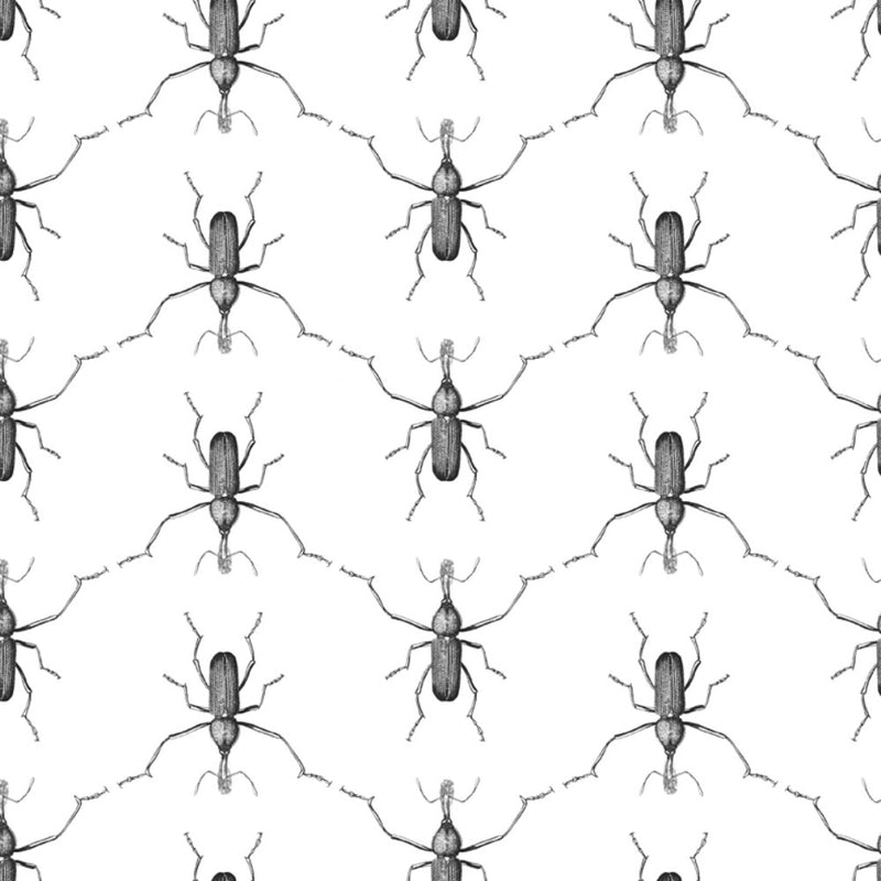 media image for Buggie Wallpaper in Men In Black by Abnormals Anonymous 260