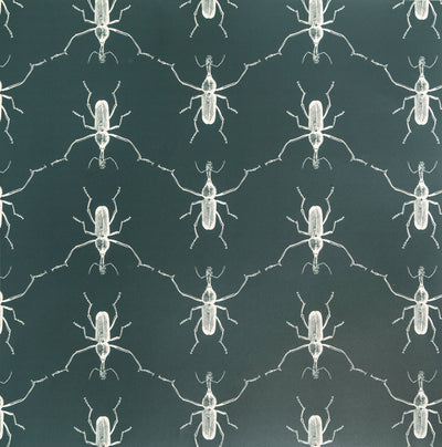 product image for Buggie Wallpaper in Moonshadow by Abnormals Anonymous 5