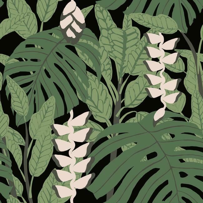 media image for sample bunaken peel stick wallpaper in green and black by roommates for york wallcoverings 1 281