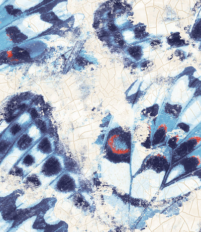 product image of Butterfly Wallpaper in Red, Blue, and Cream from the Aerial Collection by Mayflower Wallpaper 532