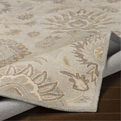 product image for Caesar CAE-1192 Hand Tufted Rug in Light Gray & Khaki by Surya 1