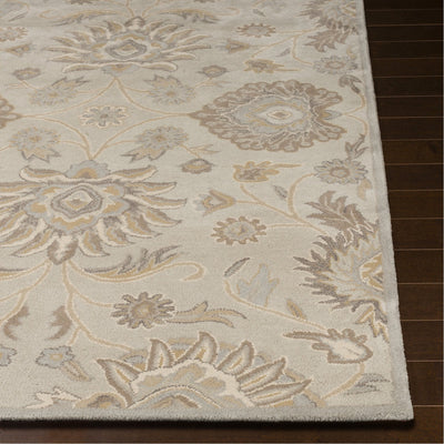 product image for Caesar CAE-1192 Hand Tufted Rug in Light Gray & Khaki by Surya 4
