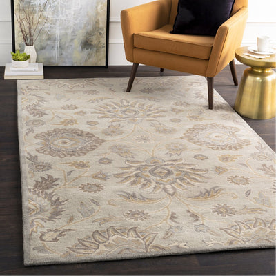 product image for Caesar CAE-1192 Hand Tufted Rug in Light Gray & Khaki by Surya 1