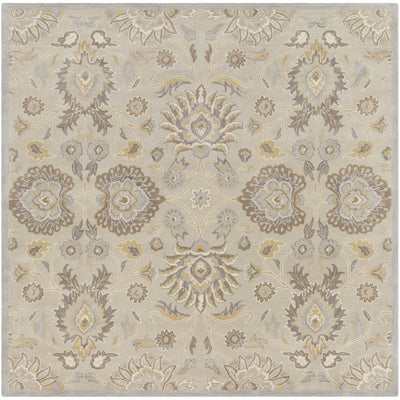 product image for Caesar CAE-1192 Hand Tufted Rug in Light Gray & Khaki by Surya 49
