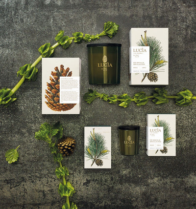 product image for Les Saisons Aromatic Candle design by Lucia 15