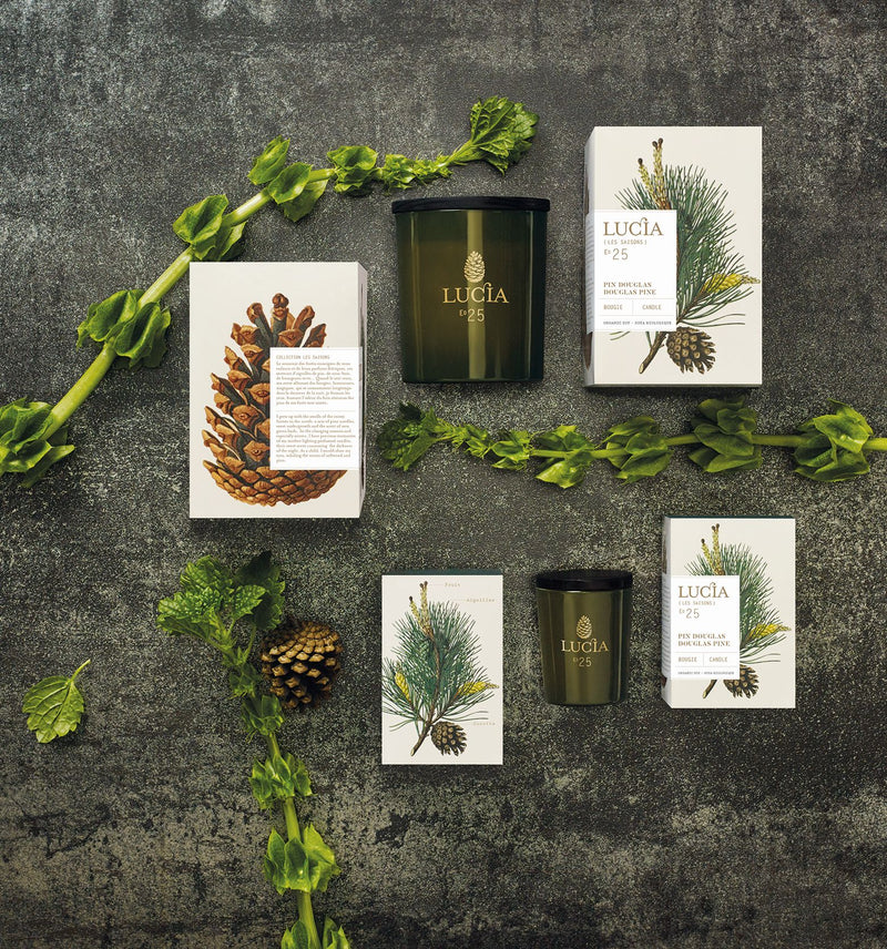 media image for Les Saisons Aromatic Candle design by Lucia 24