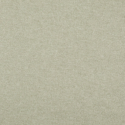 product image of Sample Carmen Fabric in Light Sage 52