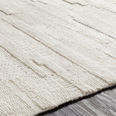 product image for Cocoon CCN-1000 Hand Woven Rug in Beige by Surya 34
