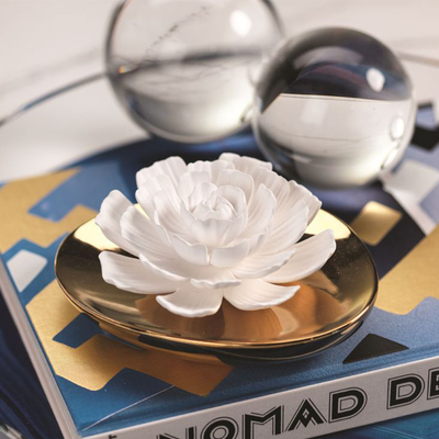 product image for dream porcelain flower diffuser by zodax ch 4779 6 36