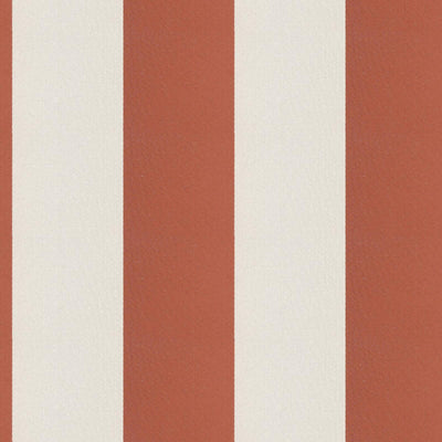 product image of Cirque Fabric in Terracotta/White 538