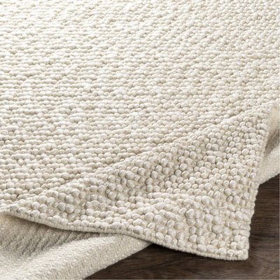 product image for Como COO-2302 Hand Woven Rug in Ivory by Surya 86
