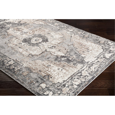 product image for Chelsea CSA-2304 Rug in Charcoal & Dark Brown by Surya 66