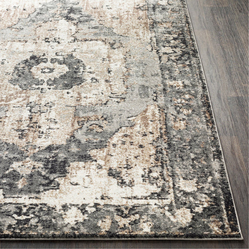 media image for Chelsea CSA-2304 Rug in Charcoal & Dark Brown by Surya 244