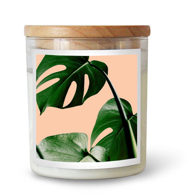 product image of monsteria candle 1 590
