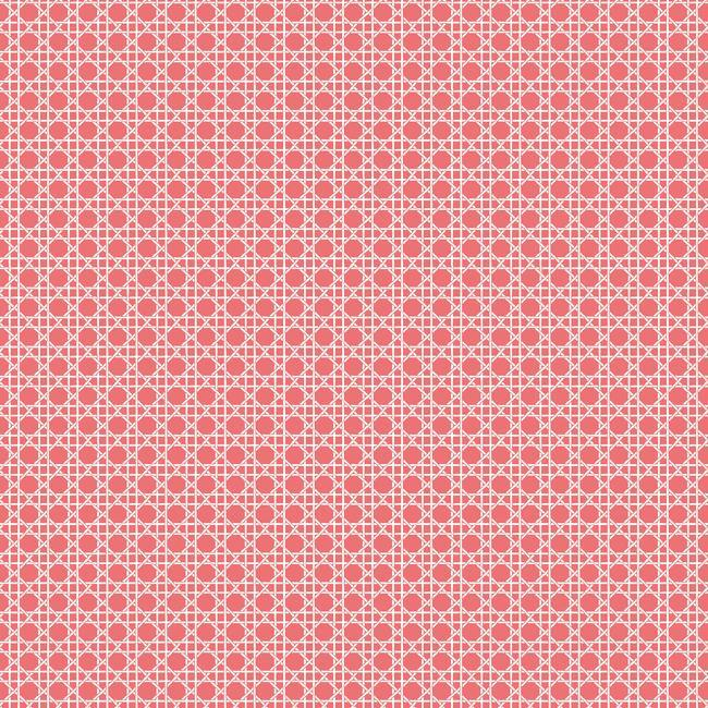 media image for Caning Peel & Stick Wallpaper in Coral by RoomMates for York Wallcoverings 289